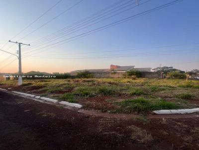 Terreno para Venda, em Ponta Por, bairro Bairro Bosque Ponta Por