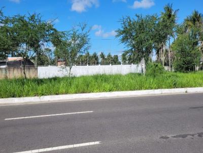 rea para Venda, em Feira de Santana, bairro NOIDE  CERQUEIRA