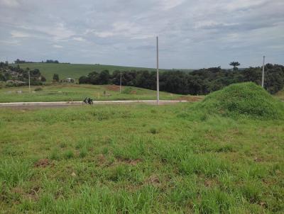 Terreno para Venda, em Carazinho, bairro 