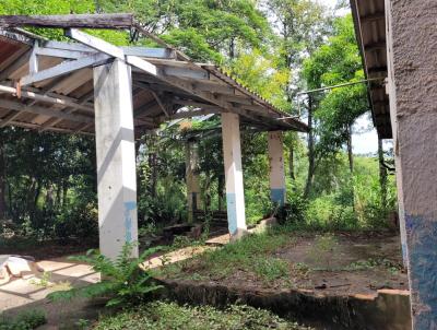 Terreno para Venda, em Jacarezinho, bairro ESTACAO