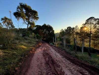 Lote para Venda, em Mairipor, bairro Jundiaizinho (Terra Preta)