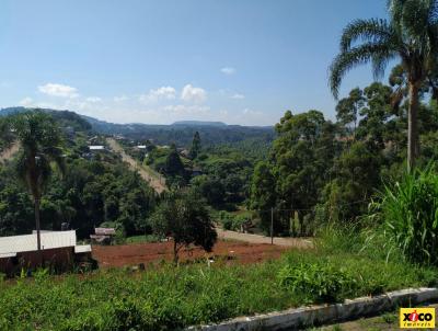 Terreno para Venda, em Nova Petrpolis, bairro Pi