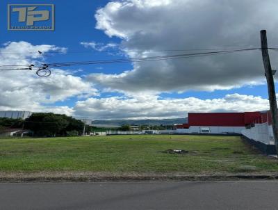 Terreno para Venda, em Sapiranga, bairro Amaral Ribeiro