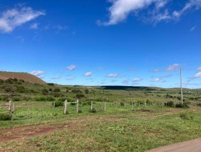 Campo para Venda, em Santana do Livramento, bairro AREA RURAL