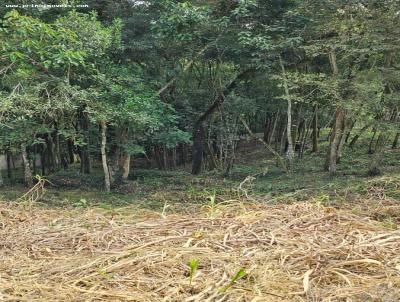 Terreno para Venda, em Mairipor, bairro Pirucaia