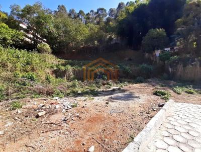 Lote para Venda, em Lima Duarte, bairro Centro