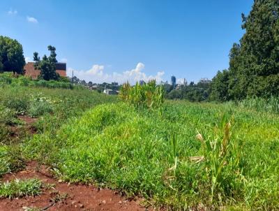 rea Rural para Venda, em Pinhalzinho, bairro ..