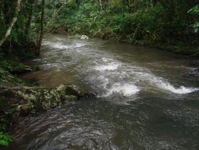 rea Rural para Venda, em Chapec, bairro Linha Cachoeira