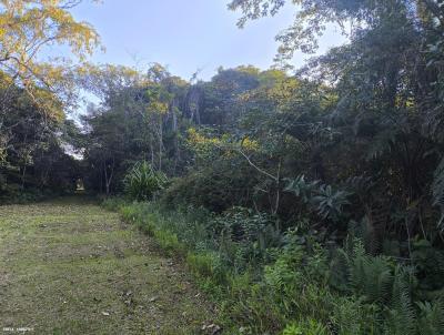 Terreno para Venda, em , bairro Guara