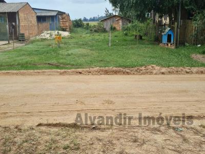 Terreno para Venda, em Tapes, bairro Pinvest