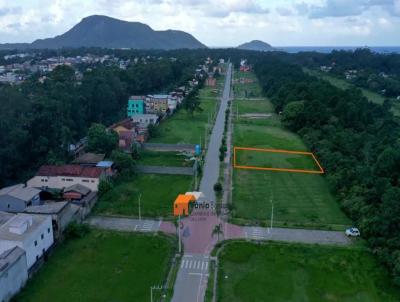 Terreno para Venda, em Florianpolis, bairro So Joo do Rio Vermelho