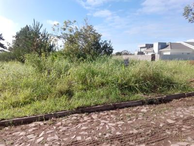 Terreno para Venda, em Sapiranga, bairro Centenrio