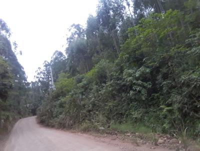 Chcara para Venda, em Sapiranga, bairro So Jac