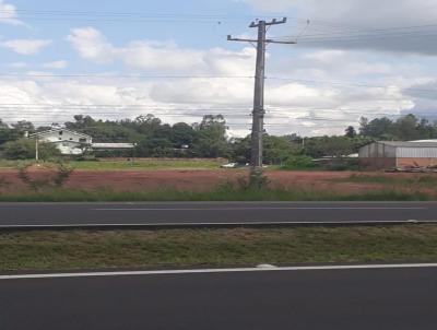 Terreno para Venda, em Araric, bairro Zona Urbana