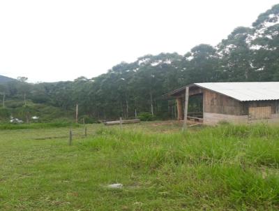 Chcara para Venda, em Araric, bairro Imperatriz