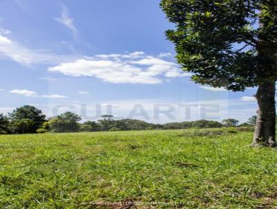 Fazenda para Venda, em Viamo, bairro Estncia Grande