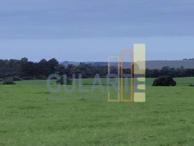 Fazenda para Venda, em Cachoeira do Sul, bairro Distrito