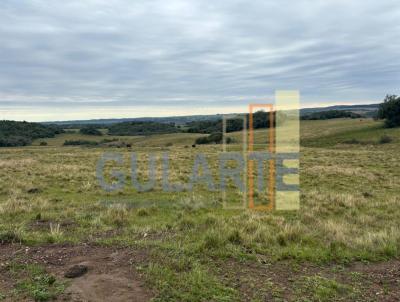 Fazenda para Venda, em Caapava do Sul, bairro Distrito