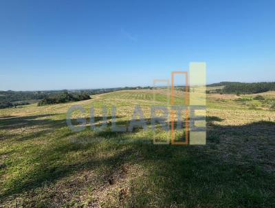 Fazenda para Venda, em Bag, bairro Distrito