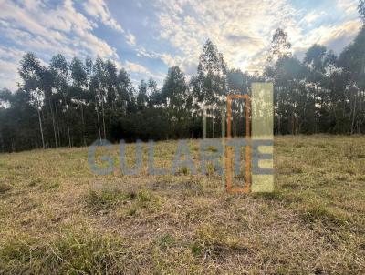 Fazenda para Venda, em Barra do Ribeiro, bairro Distrito