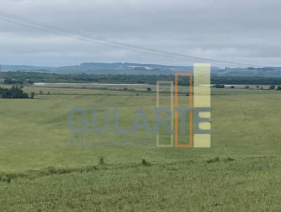 Fazenda para Venda, em Candiota, bairro Zona Sul