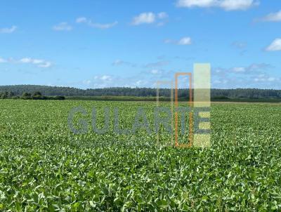 Fazenda para Venda, em Charqueadas, bairro Distrito