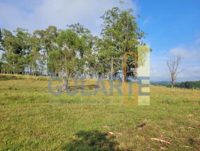 Fazenda para Venda, em Sentinela do Sul, bairro Distrito