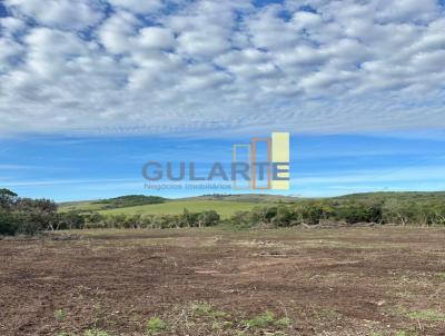 Fazenda para Venda, em Cachoeira do Sul, bairro Piquiri