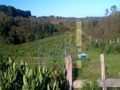 Fazenda para Venda, em Piratini, bairro Distrito