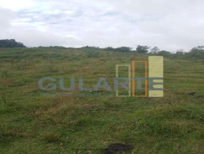 Fazenda para Venda, em Nova Petrpolis, bairro Distrito