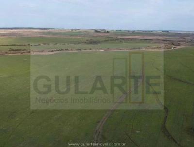 Fazenda para Venda, em Sentinela do Sul, bairro Distrito