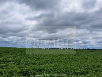 Fazenda para Venda, em So Luiz Gonzaga, bairro Distrito