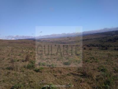 Fazenda para Venda, em Pinheiro Machado, bairro Distrito