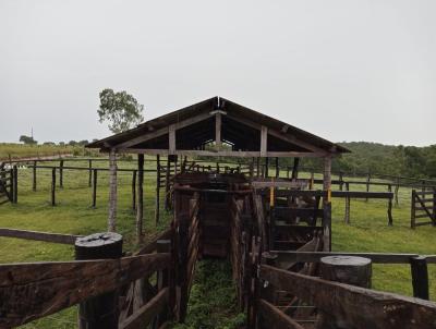 Fazenda para Venda, em Nossa Senhora do Livramento, bairro rural