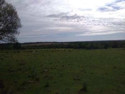 Fazenda para Venda, em Itacurubi, bairro Distrito