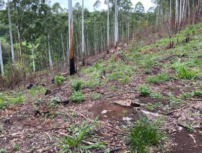 rea Rural para Venda, em Chapec, bairro Linha So Roque