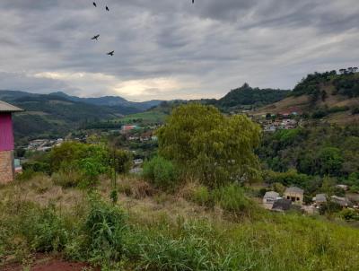 Terreno para Venda, em Arvoredo, bairro ..