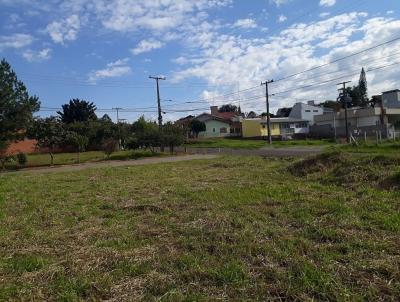 Terreno para Venda, em Campo Bom, bairro Centro