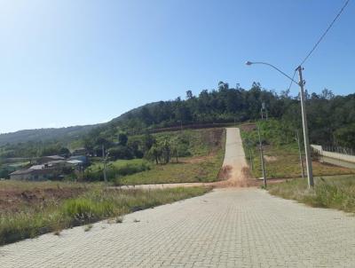 Terreno para Venda, em Nova Hartz, bairro Zona Urbana