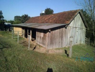 Chcara para Venda, em Rolante, bairro Zona Rural