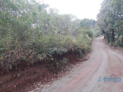 Chcara para Venda, em Parob, bairro Morro da Canoa