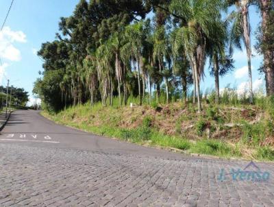 Terreno para Venda, em Sapiranga, bairro Centro