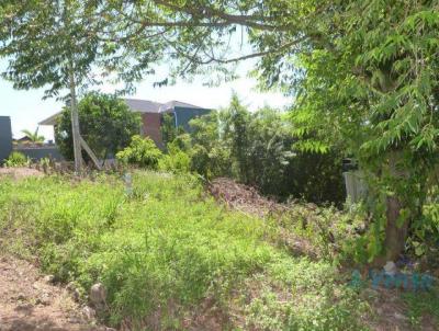 Terreno para Venda, em Lindolfo Collor, bairro Portal