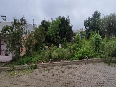 Terreno para Venda, em Canguu, bairro Vila Nova