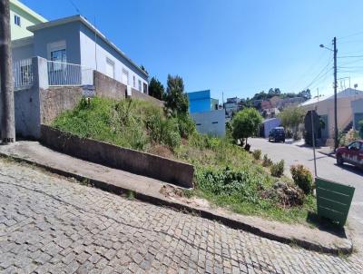 Terreno para Venda, em Canguu, bairro Centro