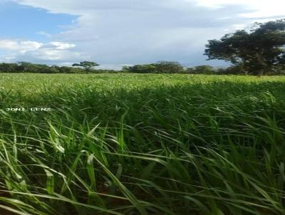 Fazenda para Venda, em Jangada, bairro FAZENDA