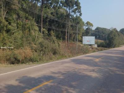 Terreno para Venda, em Pin, bairro Terra Do Alto