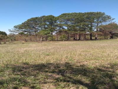 Terreno para Venda, em Tatu, bairro Jardim Gramado