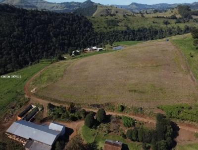 rea Rural para Venda, em Anchieta, bairro Linha Nova Seara