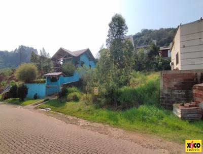 Terreno para Venda, em Nova Petrpolis, bairro Pi